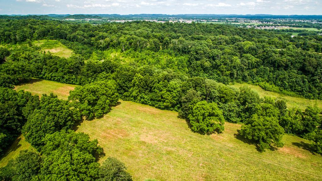 2251 Sugar Ridge Road Spring Hill, TN 37174 - Photo 7 of 18 a view of a yard with plants and large trees