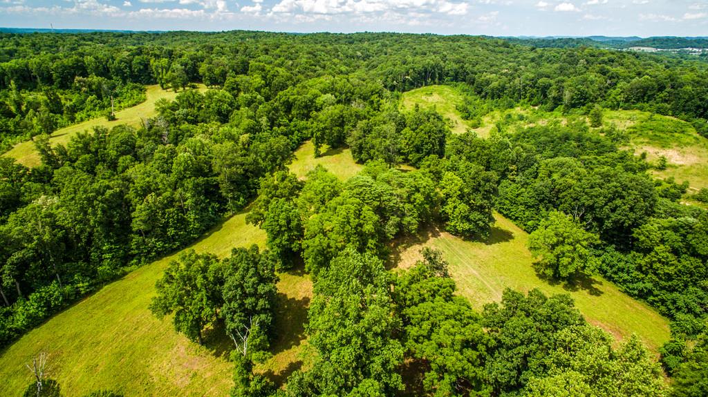 2251 Sugar Ridge Road Spring Hill, TN 37174 - Photo 8 of 18 a view of a garden