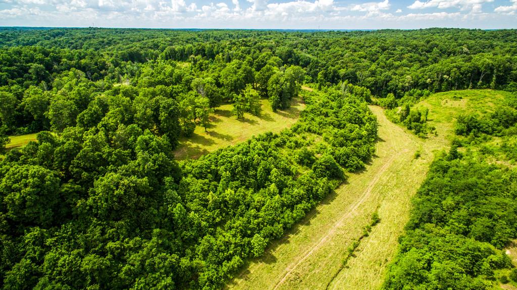 2251 Sugar Ridge Road Spring Hill, TN 37174 - Photo 9 of 18 a view of a garden