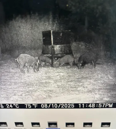 $525,000 | Tbd Tbd River, Valley Mills, TX 76689