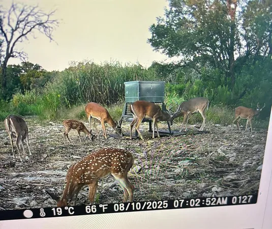 $525,000 | Tbd Tbd River, Valley Mills, TX 76689