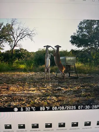 $525,000 | Tbd Tbd River, Valley Mills, TX 76689