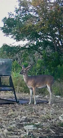 $525,000 | Tbd Tbd River, Valley Mills, TX 76689