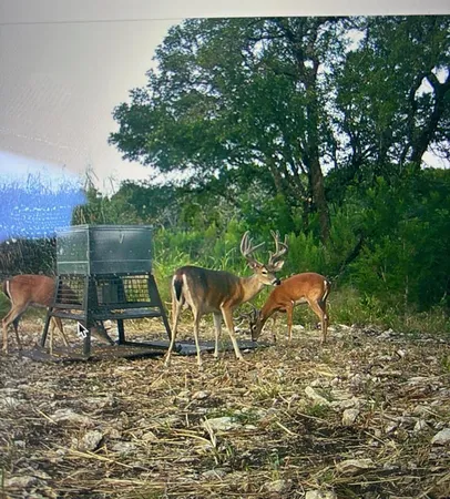 $525,000 | Tbd Tbd River, Valley Mills, TX 76689