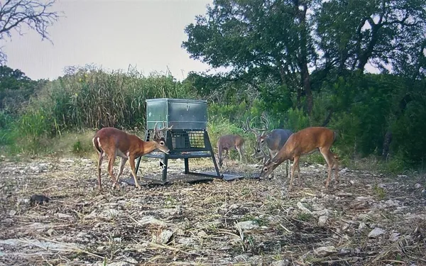 $525,000 | Tbd Tbd River, Valley Mills, TX 76689