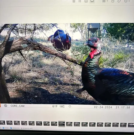 $525,000 | Tbd Tbd River, Valley Mills, TX 76689