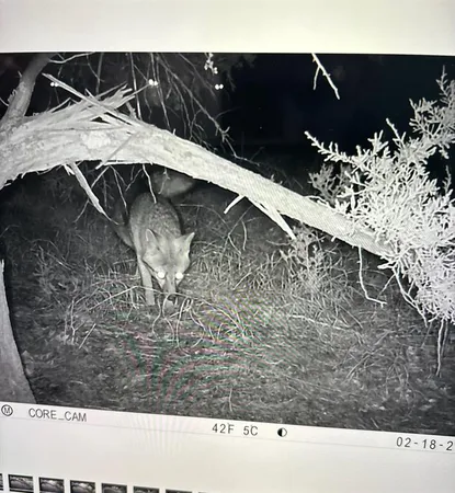 $525,000 | Tbd Tbd River, Valley Mills, TX 76689