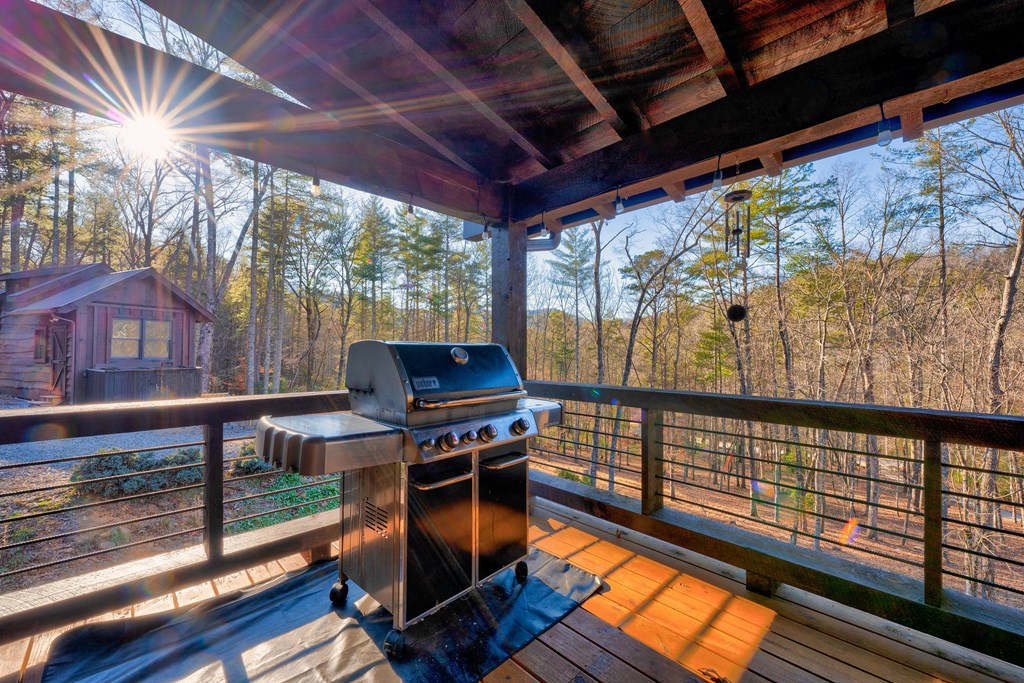 323 Stanley Creek Road Blue Ridge, GA 30513 - Photo 69 of 82 Gallery Image 69