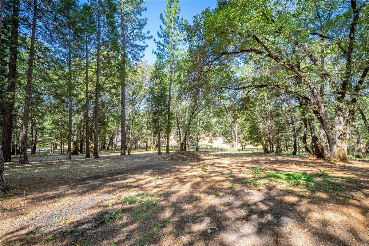 4380 Slodusty Road Garden Valley, CA 95633 - Photo 57 of 63