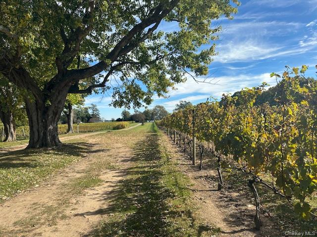 535 Bay Home Road Southold, NY 11971 - Photo 11 of 15 a view of lake view