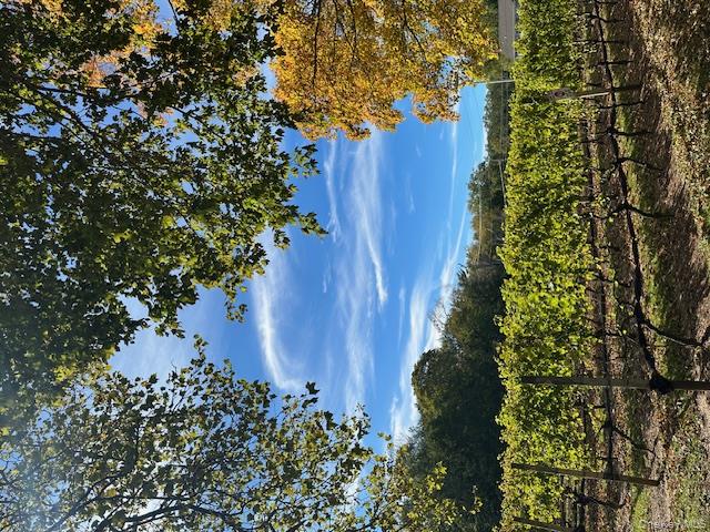 535 Bay Home Road Southold, NY 11971 - Photo 12 of 15 a view of a yard with wooden fence