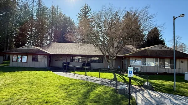 a view of a house with a yard patio and swimming pool