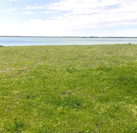 a view of a back yard