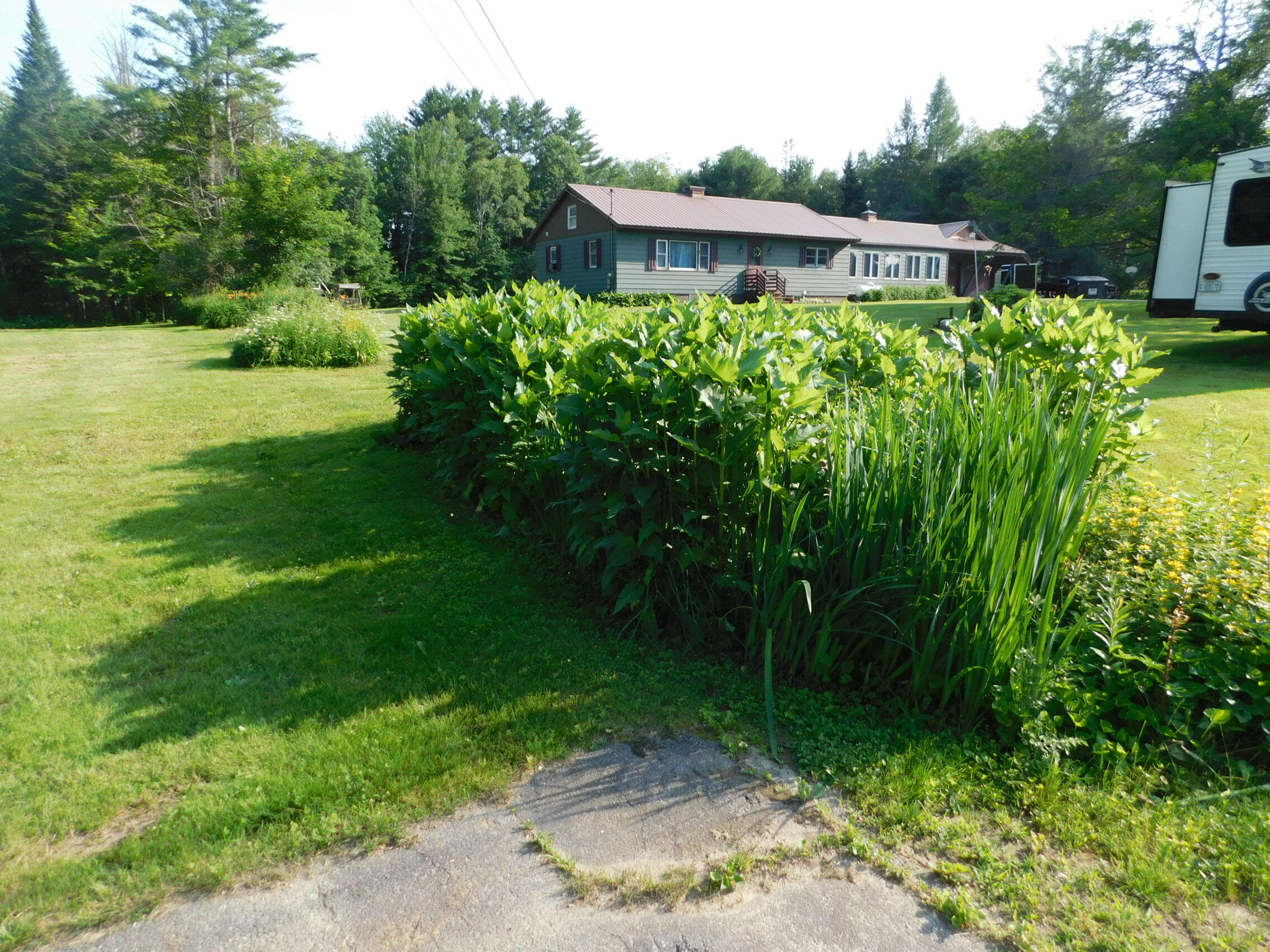 411 White School House Road Madison, ME 04950 - Photo 11 of 40 DSCN3238