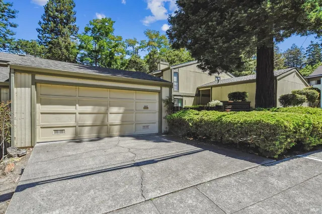a view of backyard with large tree and wooden fence