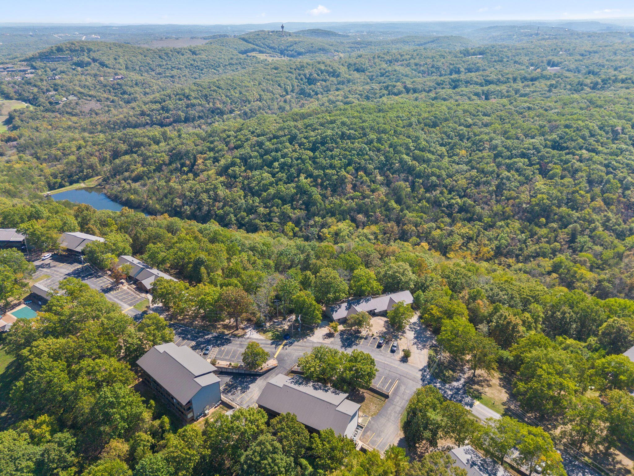 289 Notch Lane, Unit 6 Reeds Spring, MO 65737 - Photo 35 of 45 35-web-or-mls-DJI_0966