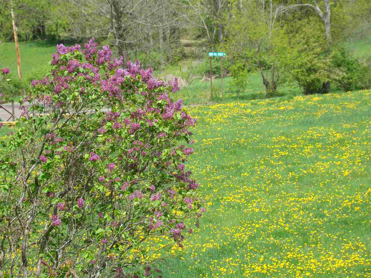 2055 Watkins Hill Road Poultney, VT 05764 - Photo 25 of 31