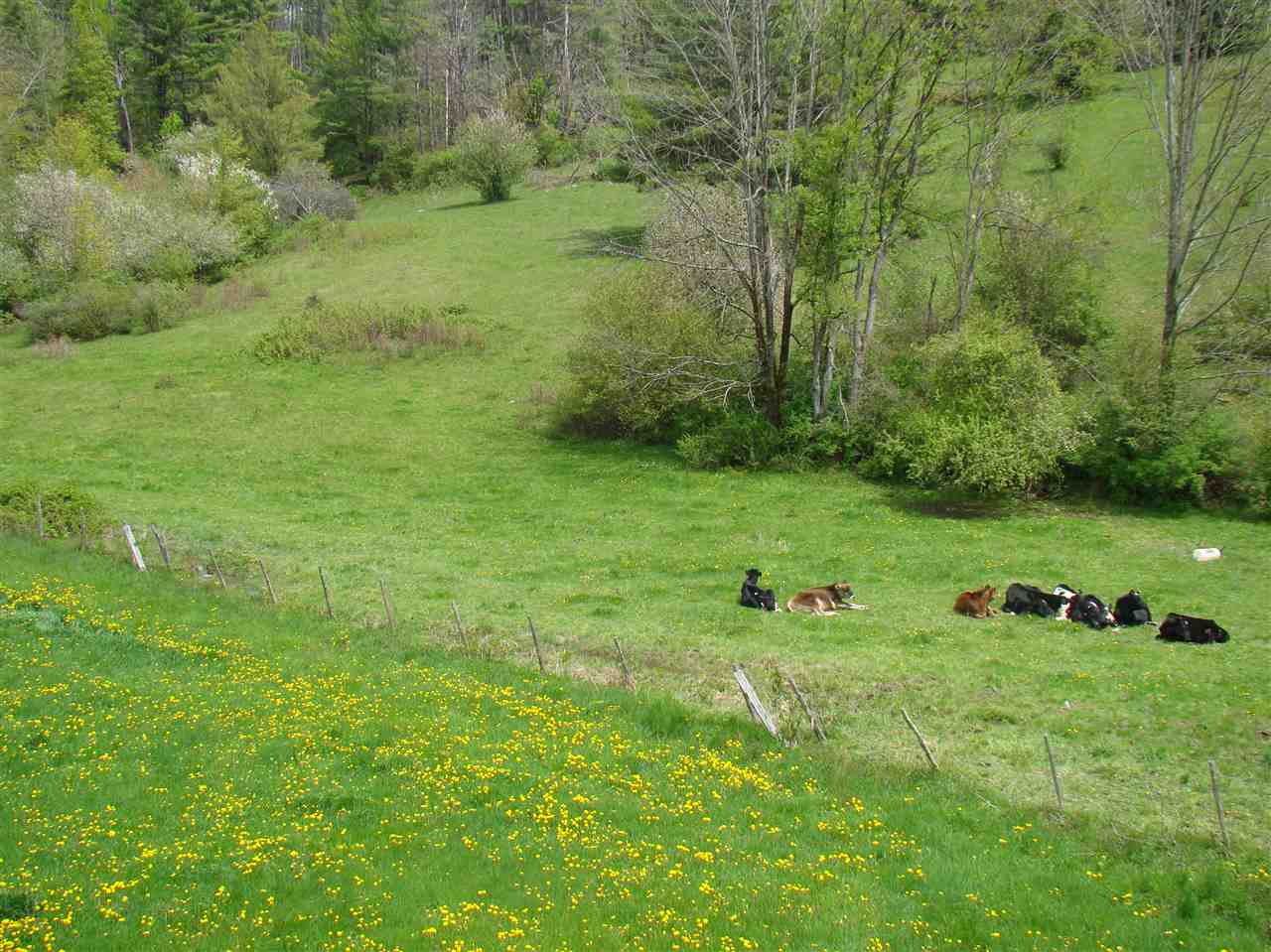 2055 Watkins Hill Road Poultney, VT 05764 - Photo 31 of 31