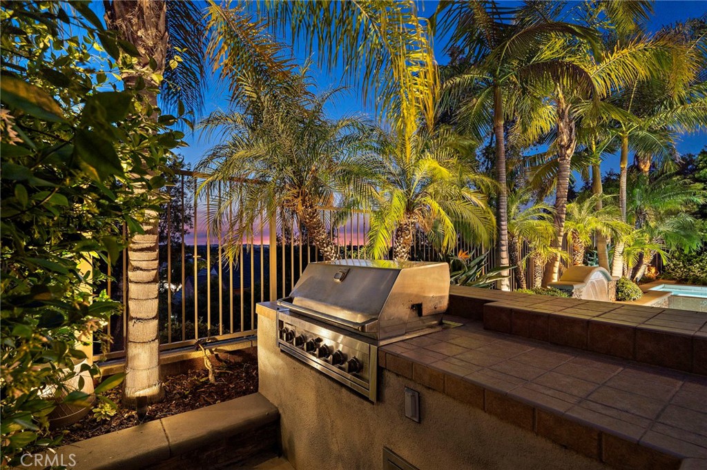8 Ranunculus Street Ladera Ranch, CA 92694 - Photo 5 of 39 a view of a yard with plants