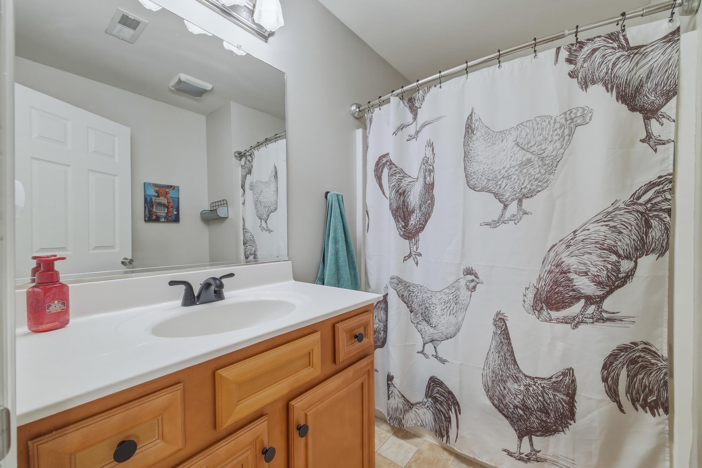 257 Hunter Road Maurertown, VA 22644 - Photo 35 of 61 a bathroom with a sink and a mirror