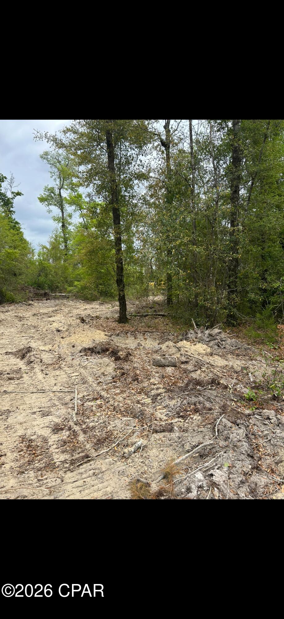 0 Blue Springs Road Youngstown, FL 32466 - Photo 3 of 3 Gallery Image 3