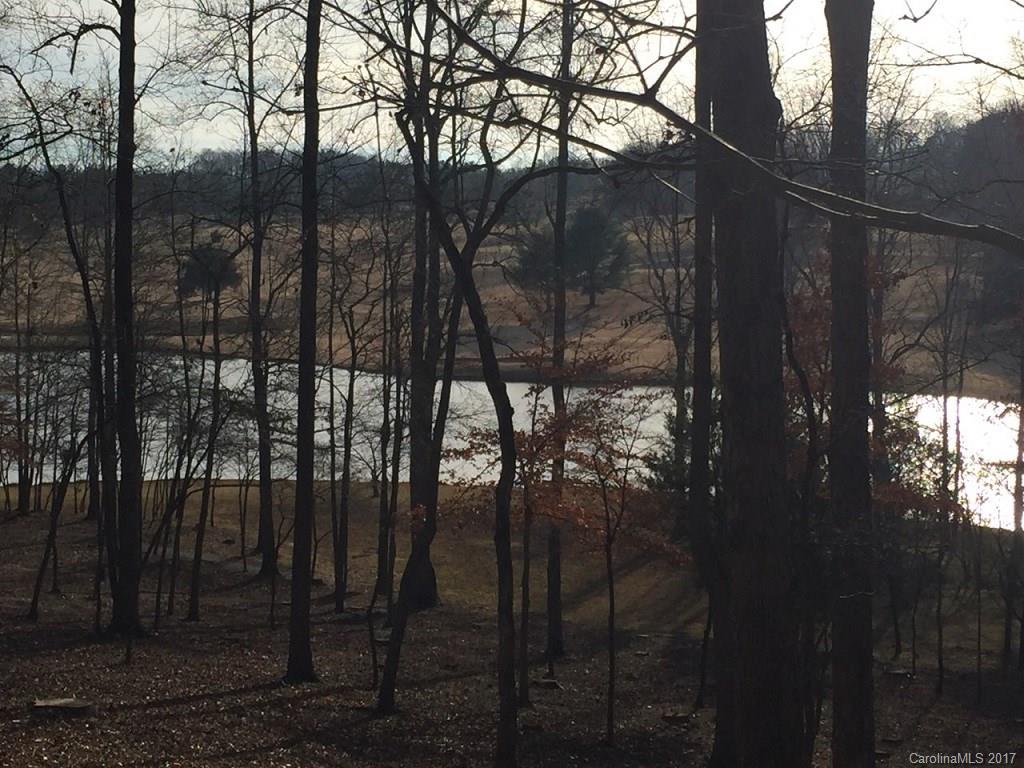 0 Red Fox Circle, Unit 32 Tryon, NC 28782 - Photo 4 of 8