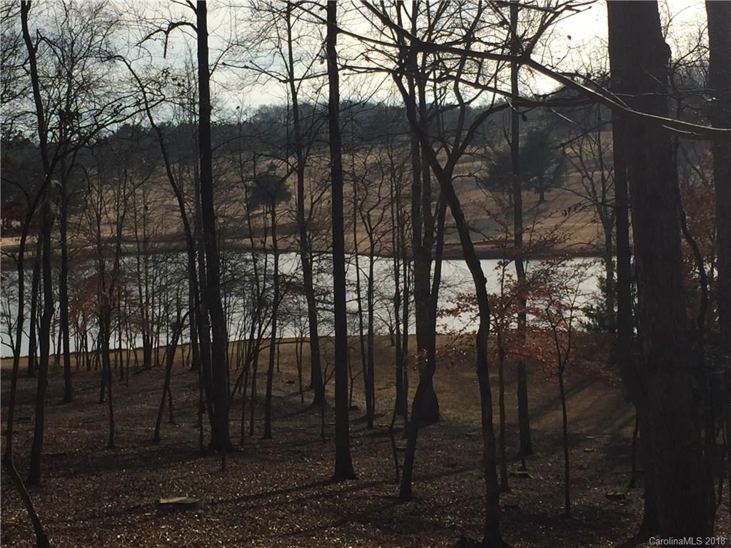 0 Red Fox Circle, Unit 32 Tryon, NC 28782 - Photo 8 of 8