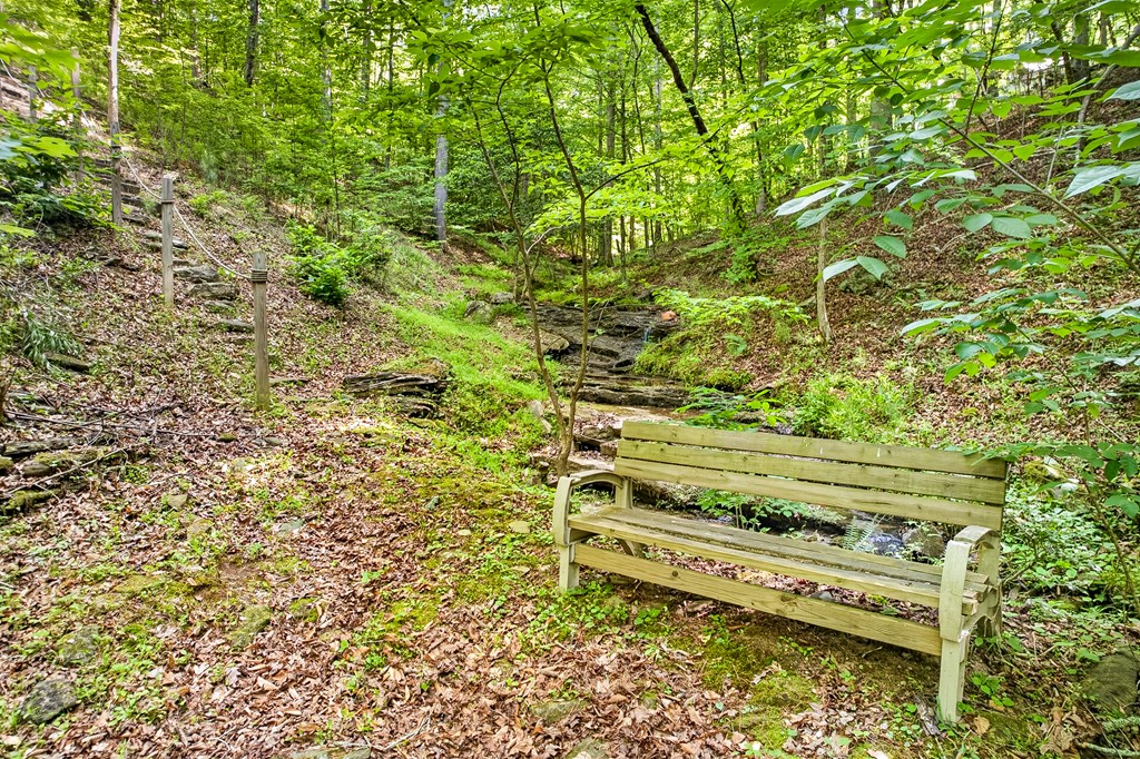 285 Julep Circle Ellijay, GA 30540 - Photo 47 of 56