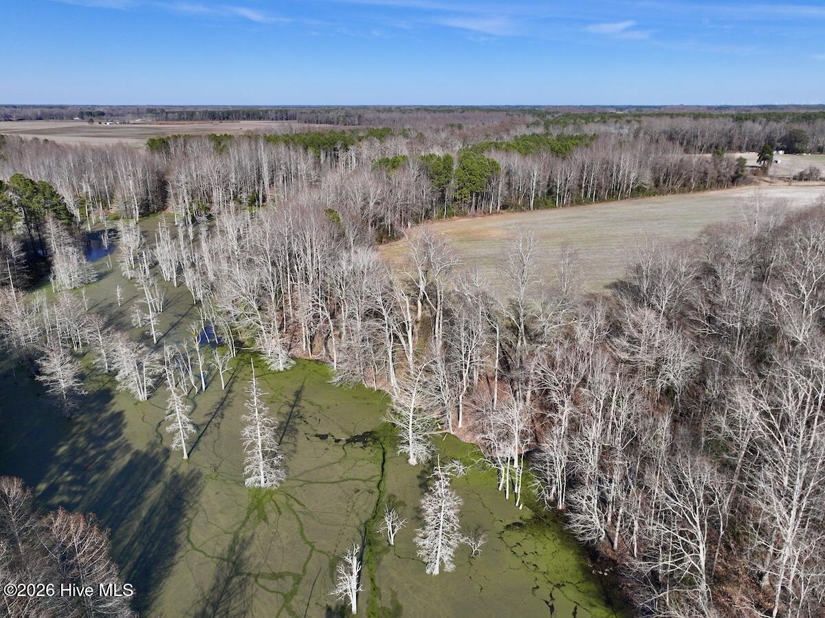 223 Yellow Hammer Road Tyner, NC 27980 - Photo 11 of 39 9