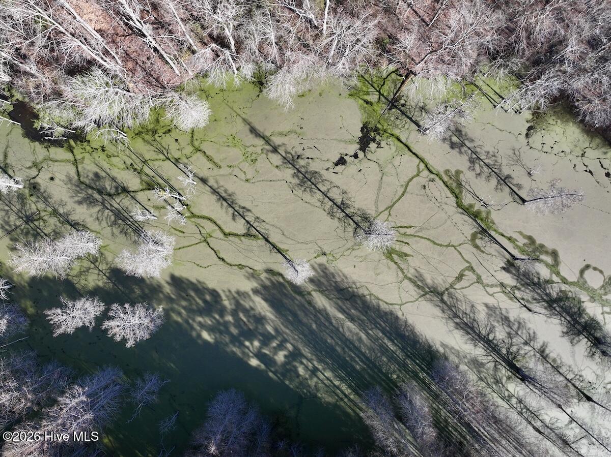 223 Yellow Hammer Road Tyner, NC 27980 - Photo 12 of 39 10