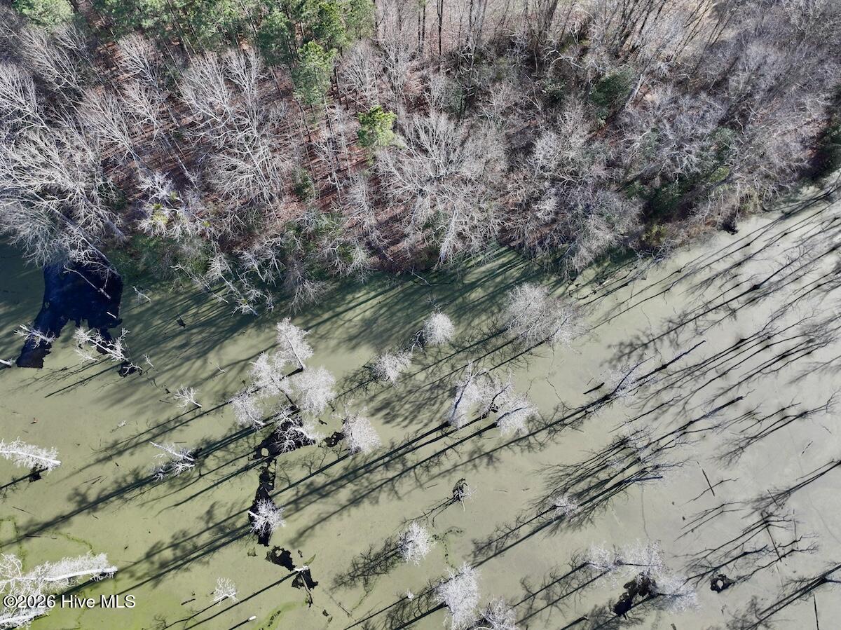 223 Yellow Hammer Road Tyner, NC 27980 - Photo 13 of 39 11