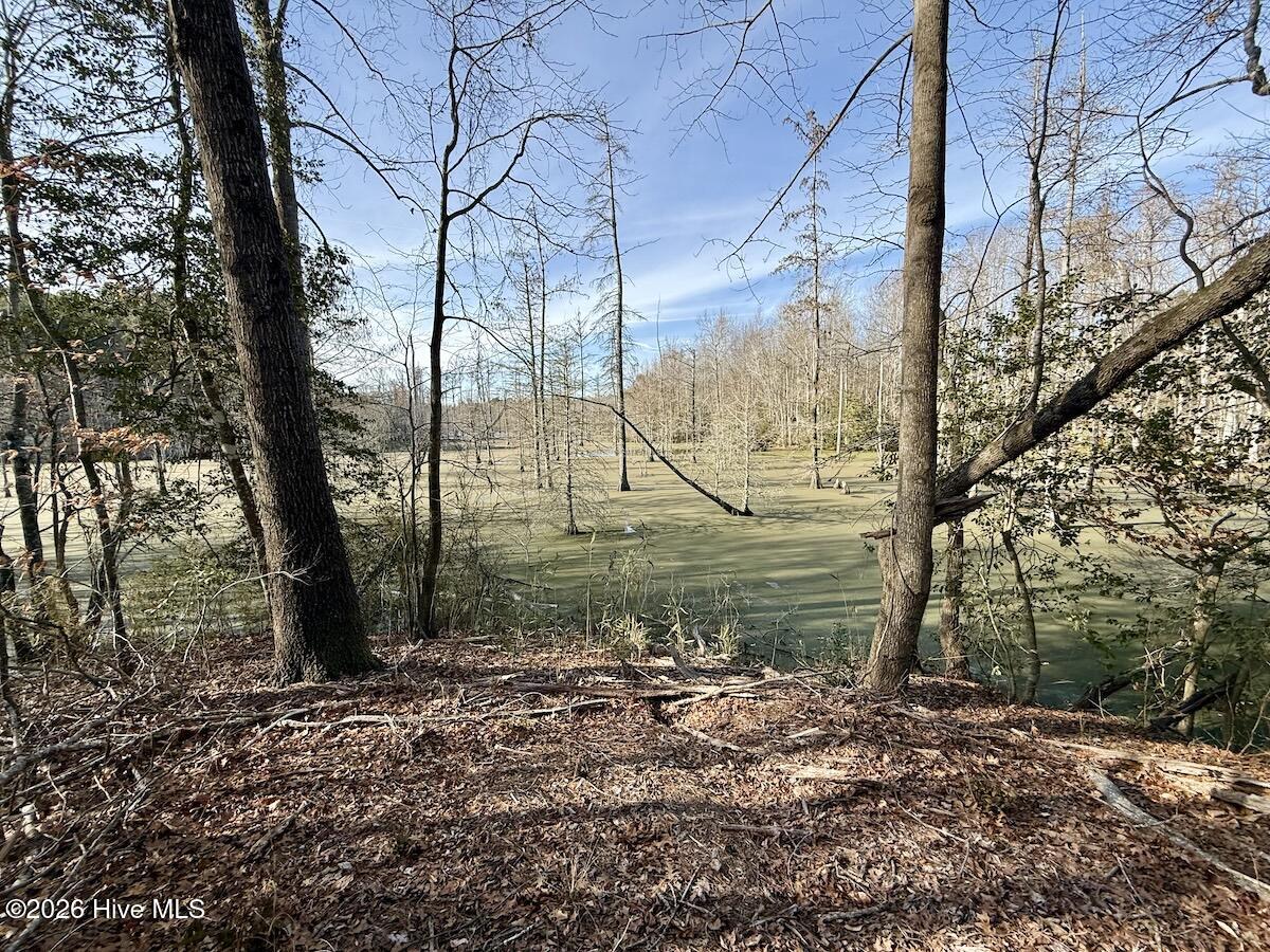 223 Yellow Hammer Road Tyner, NC 27980 - Photo 14 of 39 11a