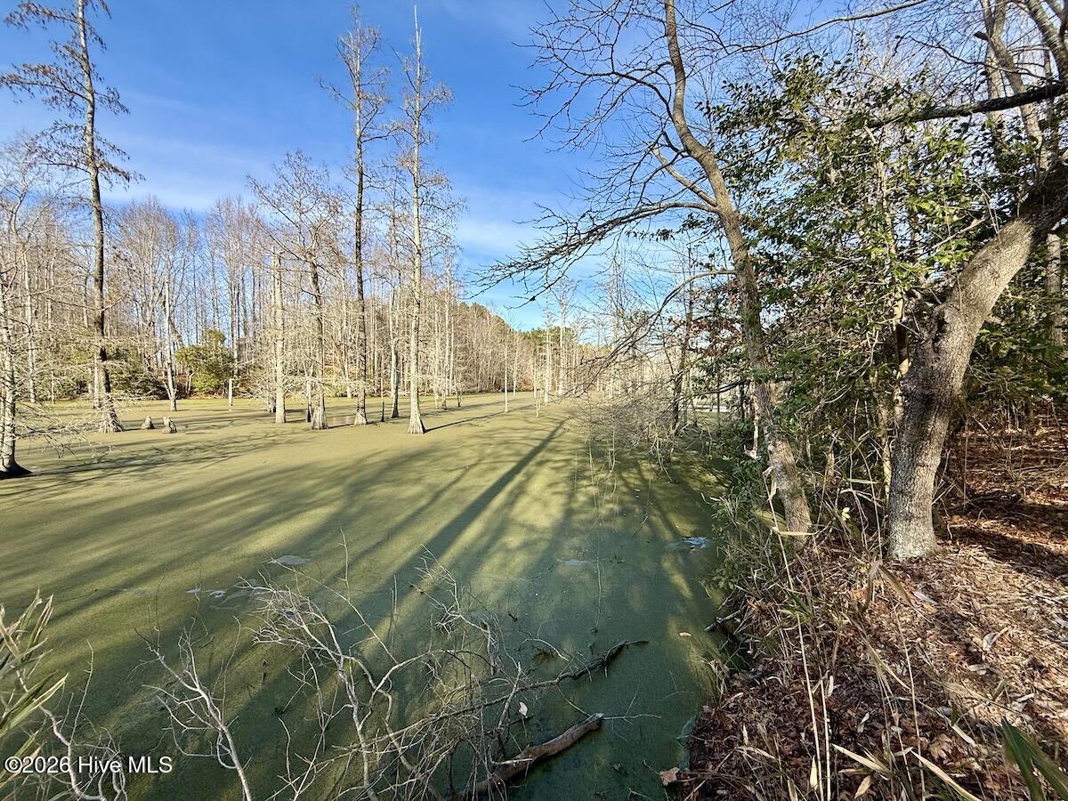 223 Yellow Hammer Road Tyner, NC 27980 - Photo 15 of 39 11b