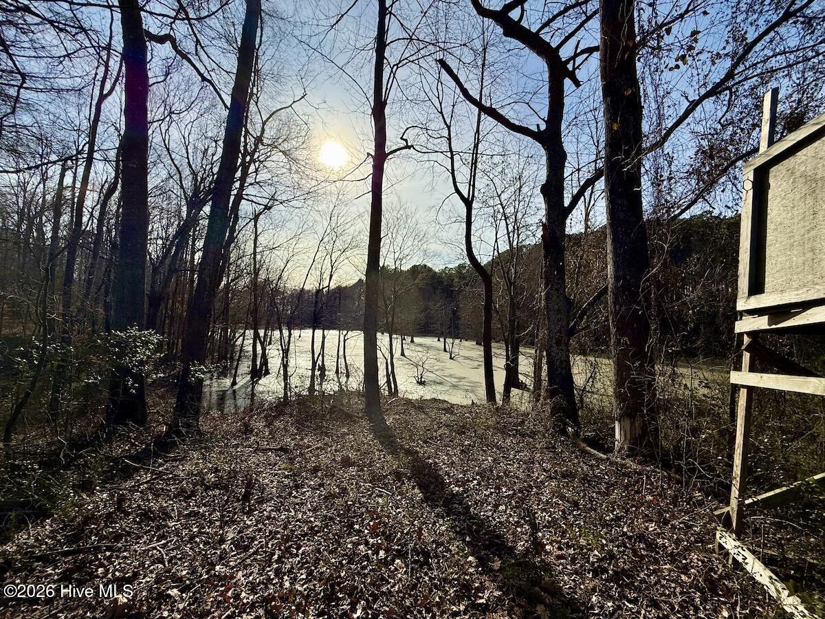 223 Yellow Hammer Road Tyner, NC 27980 - Photo 17 of 39 11d