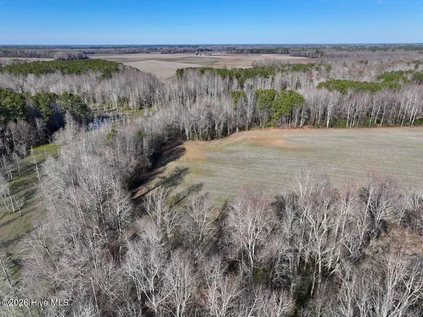 $199,900 | 223 Yellow Hammer Road, Tyner, NC 27980