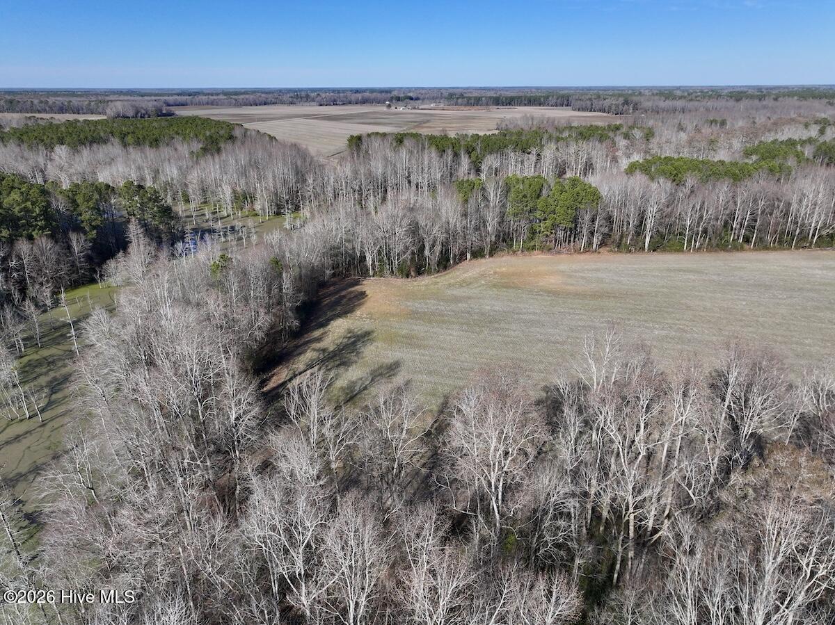 223 Yellow Hammer Road Tyner, NC 27980 - Photo 18 of 39 12