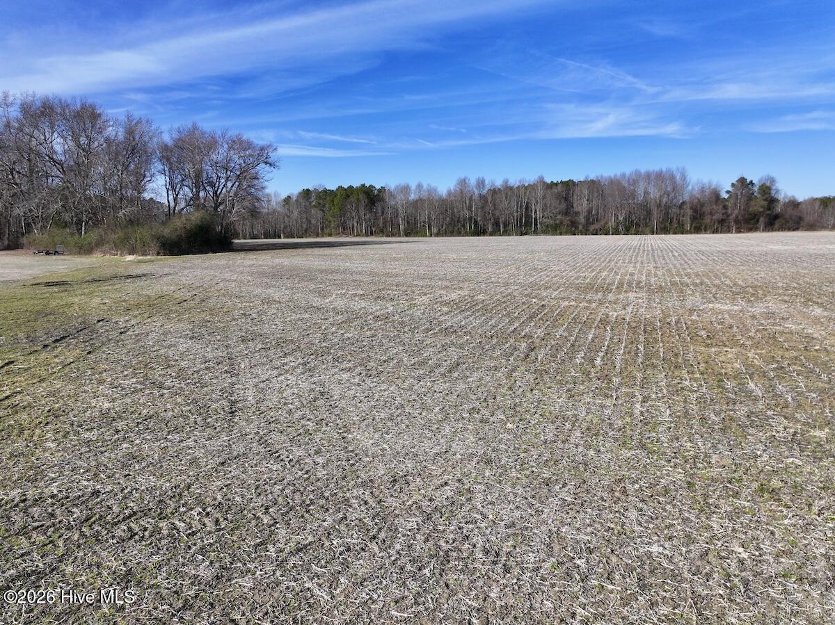 223 Yellow Hammer Road Tyner, NC 27980 - Photo 21 of 39 15