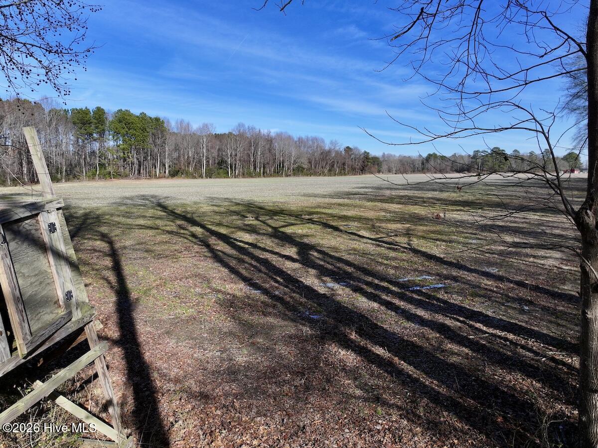 223 Yellow Hammer Road Tyner, NC 27980 - Photo 25 of 39 19