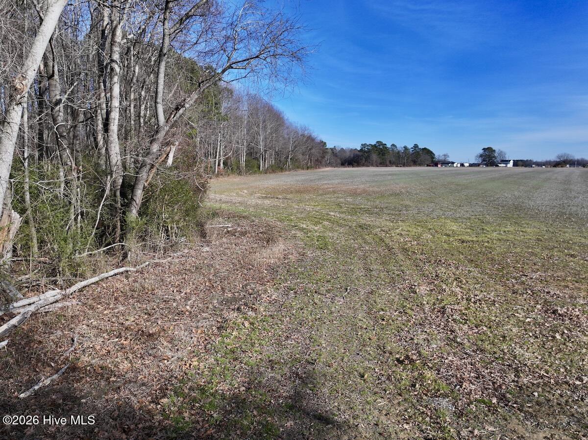 223 Yellow Hammer Road Tyner, NC 27980 - Photo 26 of 39 20