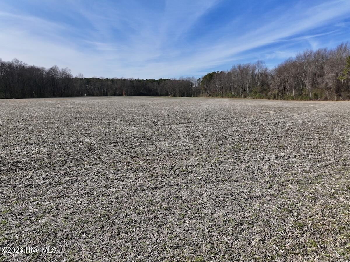 223 Yellow Hammer Road Tyner, NC 27980 - Photo 29 of 39 23