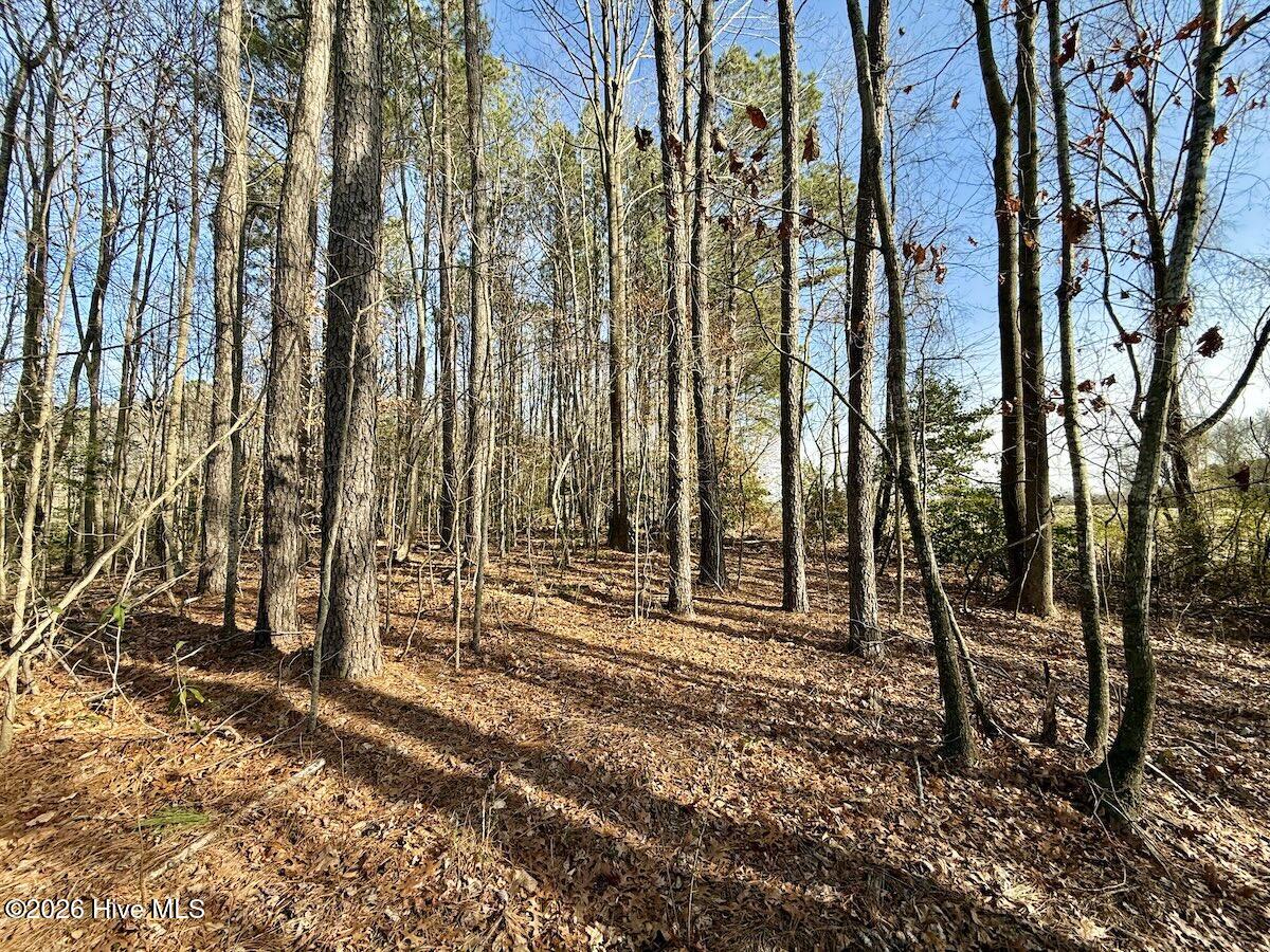 223 Yellow Hammer Road Tyner, NC 27980 - Photo 32 of 39 26