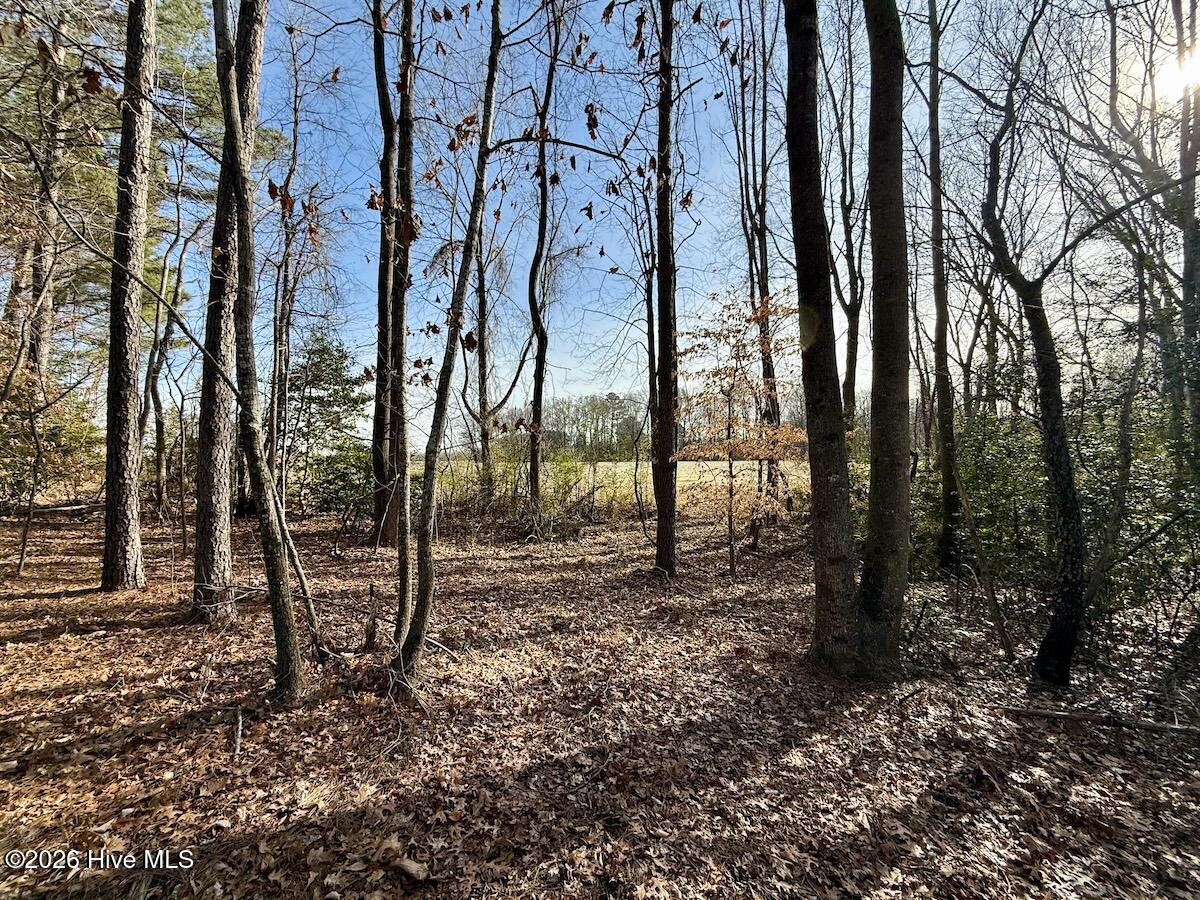 223 Yellow Hammer Road Tyner, NC 27980 - Photo 33 of 39 27