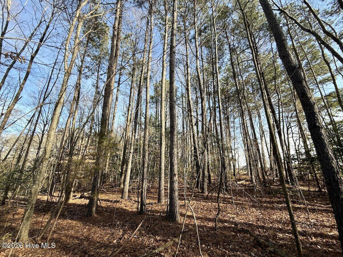 223 Yellow Hammer Road Tyner, NC 27980 - Photo 34 of 39 28