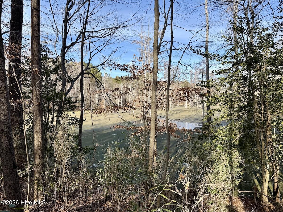 223 Yellow Hammer Road Tyner, NC 27980 - Photo 35 of 39 29