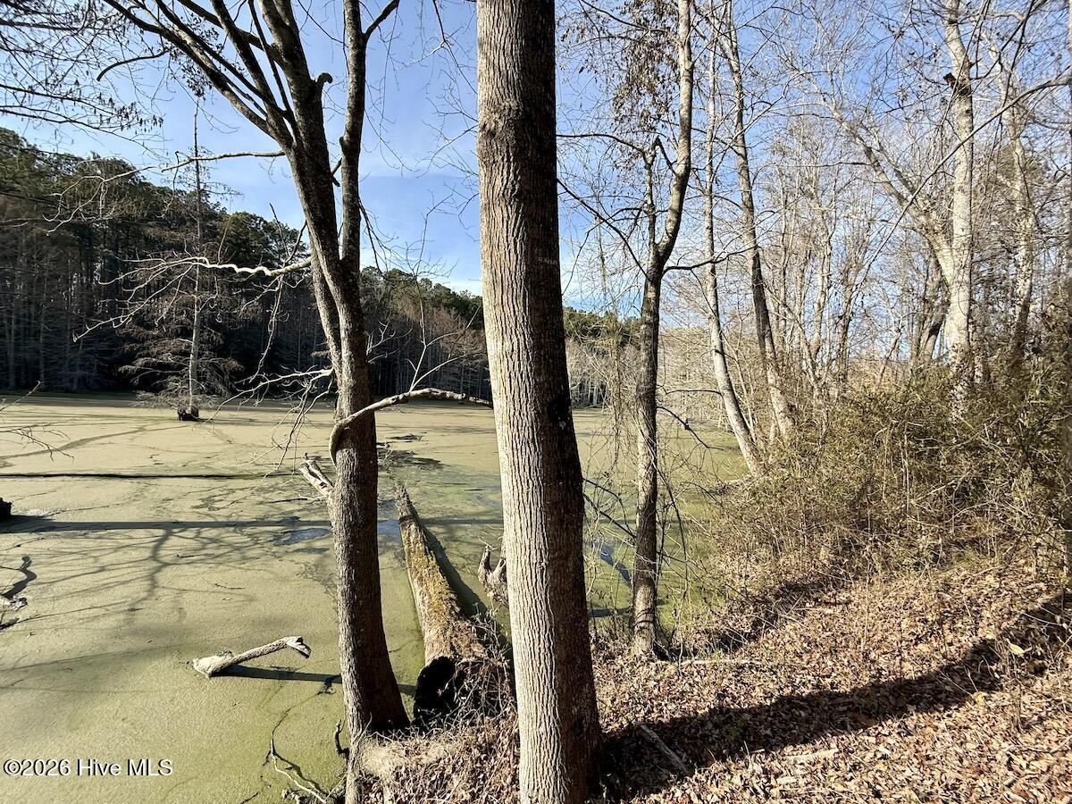 223 Yellow Hammer Road Tyner, NC 27980 - Photo 36 of 39 30