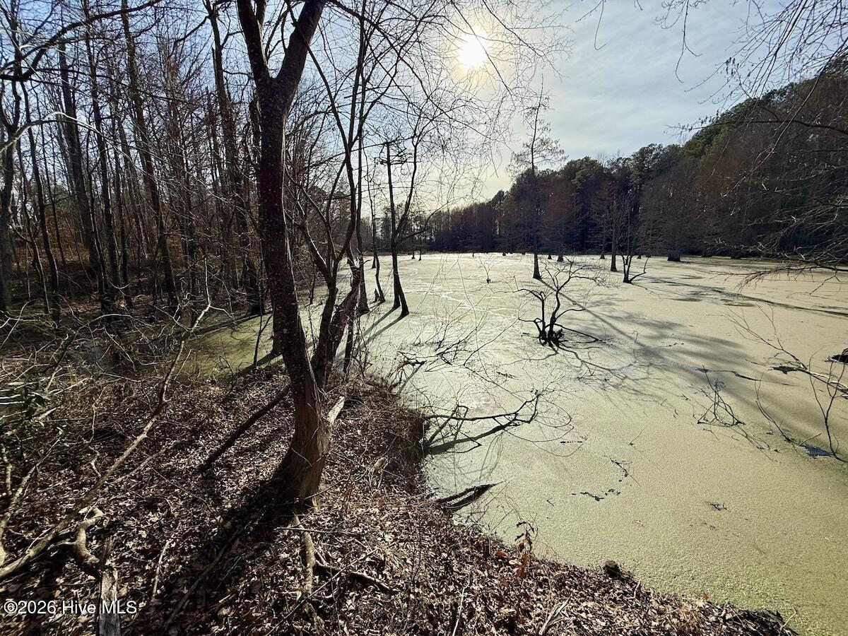 223 Yellow Hammer Road Tyner, NC 27980 - Photo 37 of 39 31