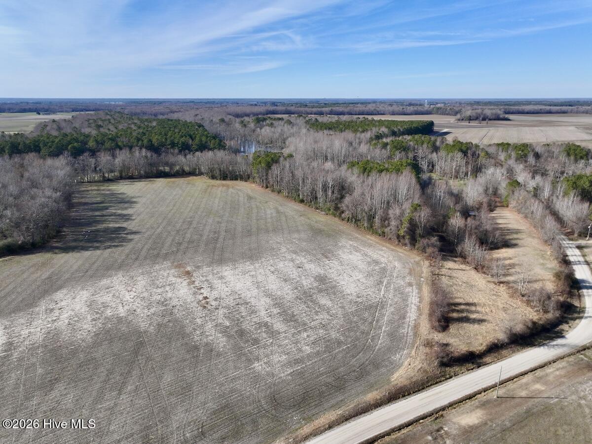223 Yellow Hammer Road Tyner, NC 27980 - Photo 4 of 39 4