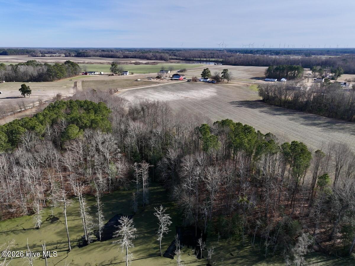 223 Yellow Hammer Road Tyner, NC 27980 - Photo 6 of 39 6