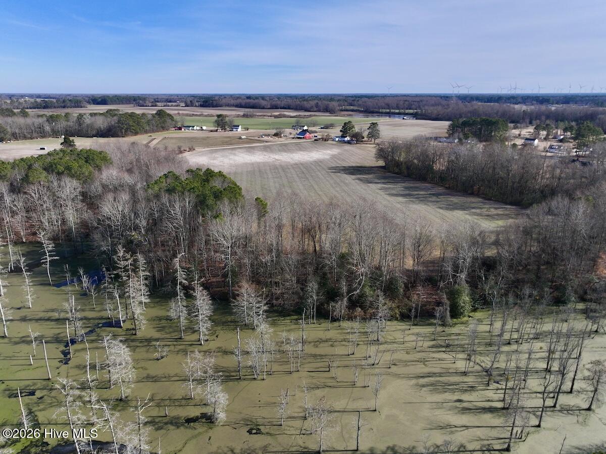 223 Yellow Hammer Road Tyner, NC 27980 - Photo 7 of 39 7