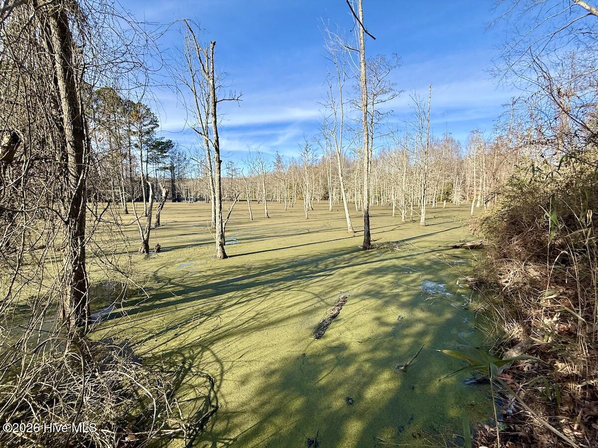 223 Yellow Hammer Road Tyner, NC 27980 - Photo 8 of 39 7a